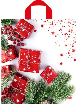 Пакет 42*38см (37мк) с петлевой ручкой "Время подарков" ПНД