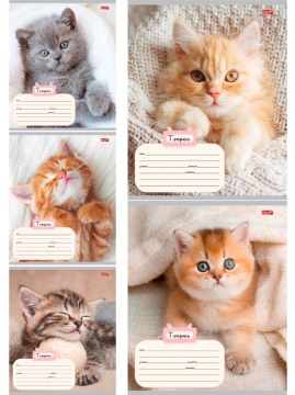 Тетрадь А5 18л кл. Проф-Пресс "Котик и уют" 5 диз.в спайке, белизна 100%