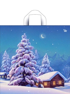 Пакет 42*44см (70мк) с петлевой ручкой "Ночь перед Рождеством" ПВД