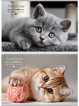 Альбом А4 32л скоба "Котики" 2диз.в блоке, пл. 100гр/м