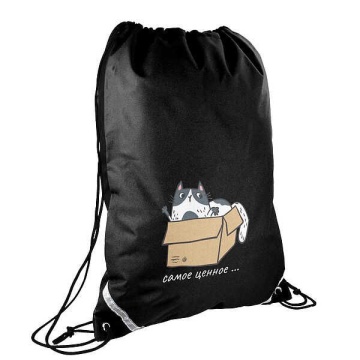 Мешок для обуви 1 отд, 360*480 карман, светоотр. "Кот-сокровище"