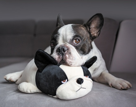 Календарь Трио 295*720мм на 2026г. Близнецы