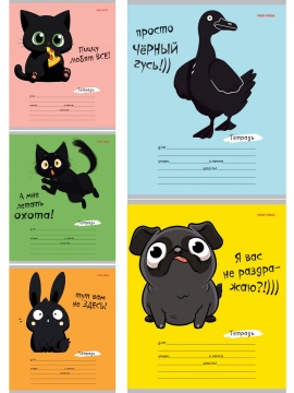 Тетрадь А5 18л лин. Проф-Пресс "Зверята и надписи" 5 диз.в спайке, белизна 100%