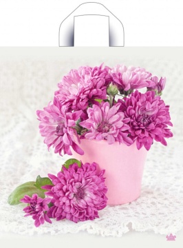 Пакет 40*36см (37мк) с петлевой ручкой "Хризантемы" ПНД