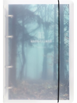 Тетрадь А5 120л кл. на кольцах Проф-Пресс "Туманный лес" пластик.обл.,резинка,белизна 100%