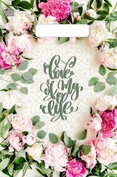 Пакет 30*20см (30мк) с вырубной ручкой "Романтичный" ПВД