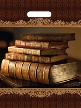 Пакет 40*31см (60мк) с вырубной ручкой "Книги" Ламинат