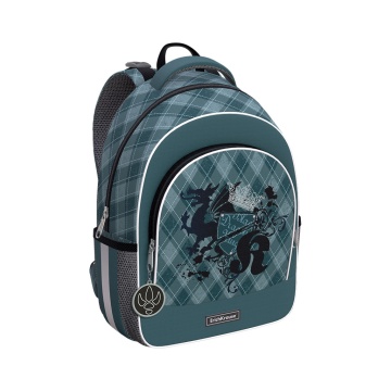 Ученический рюкзак ErichKrause ErgoLine 15L Dragon Emblem
