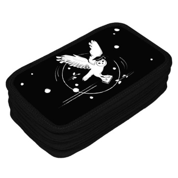 Пенал 3 отд. (205*125*55) молния, лам.картон "Сова учёная"