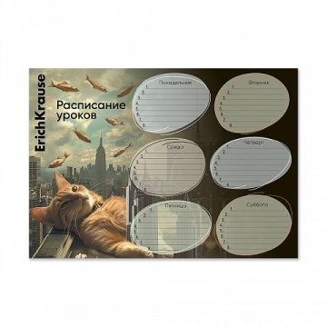 Расписание уроков А4 "Вig City Cats"