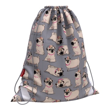 Мешок для обуви ErichKrause 365x440мм Chilling Dog