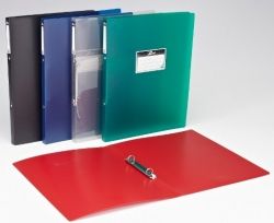 Папка 2 кольца 25 мм 0,65 мм пластик А4 ассорти