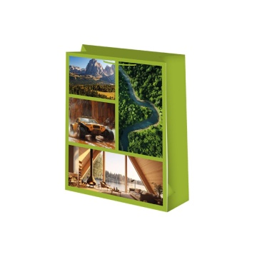 Пакет подар. бумажн. 41*56*24 см, 157гр/м2 Природа