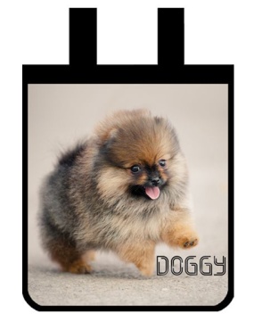 Сумка для внешкольных занятий Щенок с котятами - , 350х305х70 мм.ОНИКС