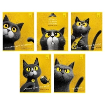 Тетрадь А5 48л кл. Hatber "Пушистый философ" 5 диз.в блоке, тисн.