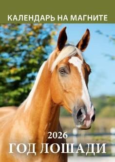 Календарь на магните отрывной 96*135мм на 2026г. Год лошади. Вид 1