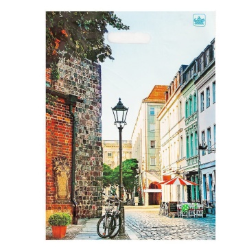 Пакет 40*31см (60мк) с вырубной укрепл. ручкой "Улица" Глянец ПВД