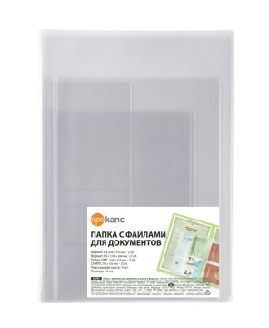 Обложка-органайзер для документов разного формата, ПВХ, матово-прозрачная