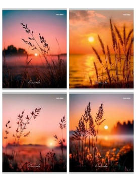 Тетрадь А5  96л кл. Проф-Пресс "Природа и солнце"