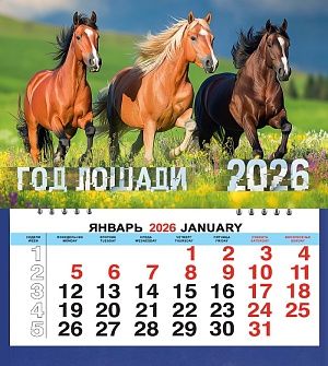Календарь МАЛЫЙ  200*240мм на 2026г. СГ_Трио лошадей. Лето