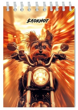 Блокнот А6  48л гребень "Щенок-гонщик" кл., блестки