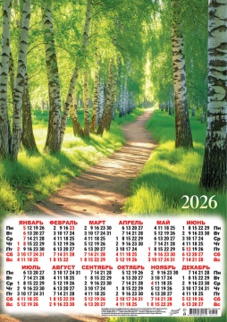 Календарь ЛИСТОВОЙ А3 295*420мм на 2026г. Природа. Берёзовый лес
