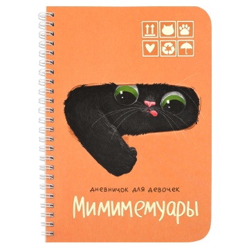 Личный дневник для девочек А5  40л., гребень, картон "Кот из коробки" мат.лам., тисн.фольгой