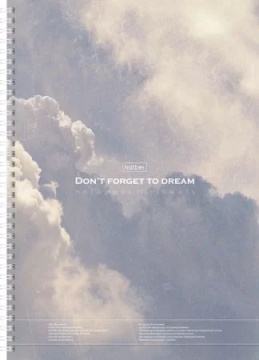 Тетрадь А4 96л без лин. гребень Hatber "Dream" карман,шаблон в кл.и лин.,перф.на отрыв