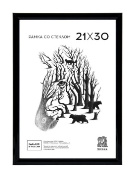 Фоторамка пластик 21*30 508 (Черная)