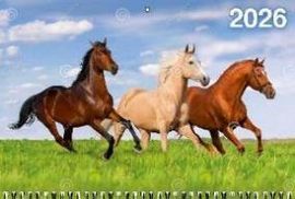 Календарь Трио 310*680мм на 2026г. Год Лошади. Вид 4