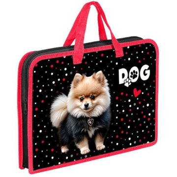 Папка А4 (340*245*40) с ручками, молния, пластик "Стильный шпиц"