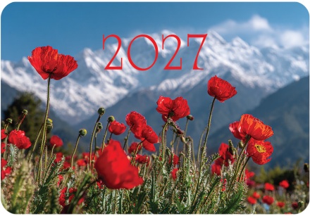 Календарь карманный (65х95мм) 2027 год "Цветы". Ассорти, сборка 50 шт.