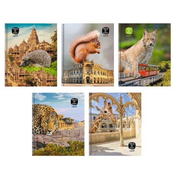 Тетрадь А5  48л кл. гребень Канц-Эксмо "В городе!" твин.лак.