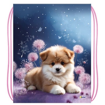 Мешок для обуви 1 отд, 330*420 "Лучший друг"