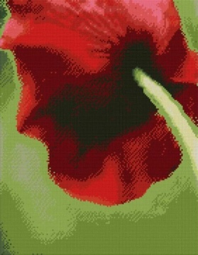 Алмазная мозаика, 40х50см. Круглые стразы. Полная выкладка. КРАСНЫЙ ТЮЛЬПАН.
