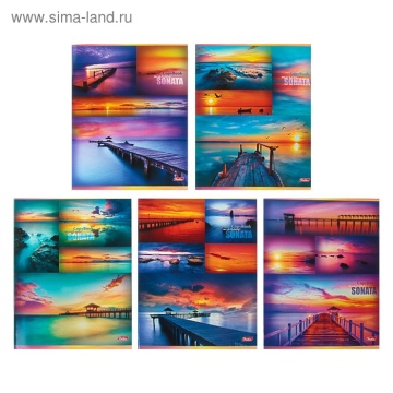 Тетрадь А4 96л клетка мелов "Гаснет день в безбрежных небесах" асс(3диз) б.полей