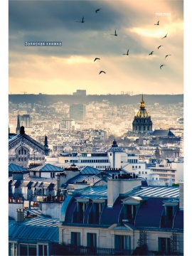 Тетрадь А4 7БЦ 80л кл. сшивка Проф-Пресс "Птицы над городом" глянц.лам.