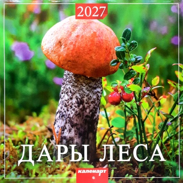 Календарь КВАДРАТ (большой) 285х285мм на 2027 год "Дары леса"