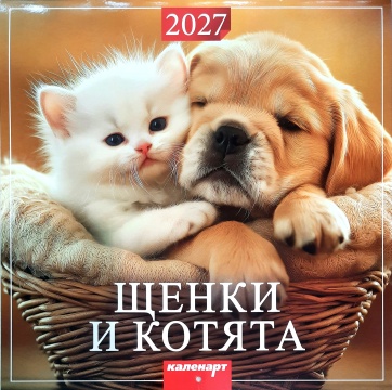Календарь КВАДРАТ (большой) 285х285мм на 2027 год "Щенки и котята"