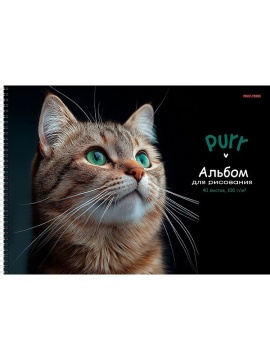 Альбом А4 40л гребень "Зеленоглазый котик" мат.лам, выб.лак., пл. 100гр/м