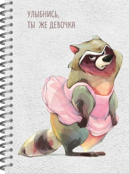 Скетчбук А5  60л., гребень, 100гр/м2  "Настроение - Енот. Улыбнись." софт-тач