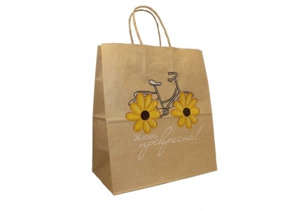 Пакет подар. бумажн. 25*22*12 см, 80 гр/м2 Жизнь прекрасна, крученые ручки