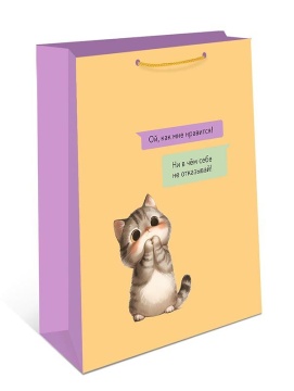 Пакет подар. бумажн. 18*23*10 см, 130гр/м2 Котик