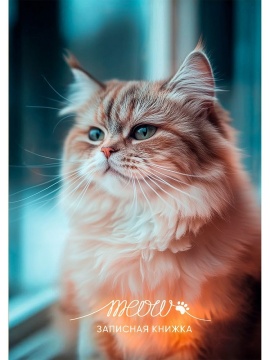 Блокнот А6 7БЦ  48л "Фото котика - 1" клетка, глянц.лам.