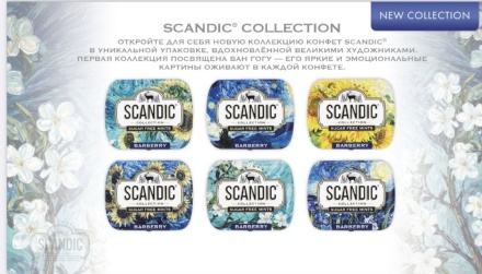 Драже освеж. б/с "SCANDIC. Барбарис" 14 гр / уп.18 шт./