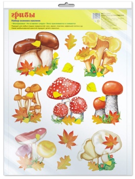 Наклейки оформительские 21*30см "Грибы" в пакете