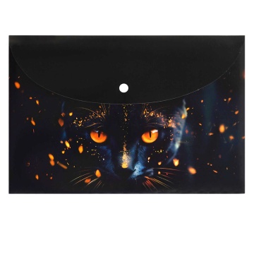 Конверт на кнопке  с рисунком А4 (335*230мм) Кот-маг