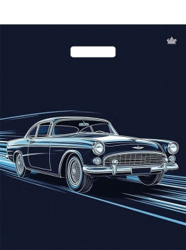 Пакет 45*38см (55мк) с вырубной укрепл. ручкой "Движение" Ламинат