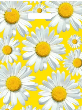 Пакет 45*34см (30мк) с вырубной укрепл. ручкой "Солнечные ромашки" ПНД