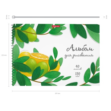 Альбом для рисования на спирали ErichKrause Juicy Fruits, А4, 40 листов, микроперфорация